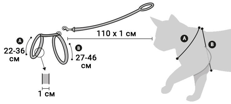 Шлей для котів Flamingo Ziggi. Розміри Для визначення розміру шлейи необхідно зняти 2 мірки з кота :</p>- обхват шиї в найширшому місці (А): сантиметрова стрічка проходить по передньому краю лопатки та кілю (опуклій частині грудної кістки); <br><br>обхват грудей (В): сантиметрова стрічка проходить за передніми лапами кота.<br></div></div><div class=