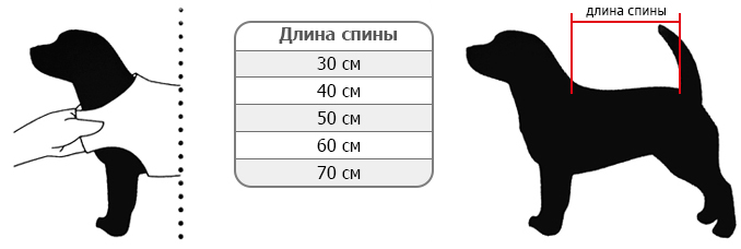 Розмірна сітка Flamingo Coat Eden