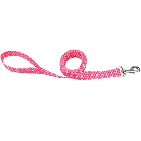 Coastal Pet Attire Styles КОСТАЛ СТАЙЛС повідець для собак, 2смХ1.2м