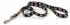 Coastal Pet Attire Styles     , 2.51.8