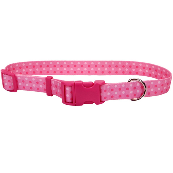 Coastal Pet Attire Styles КОСТАЛ СТАЙЛС нашийник для собак, 2.5х46-66см