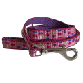 Coastal Pet Attire Weave    , 1.61.2
