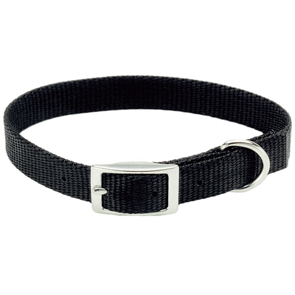 Coastal Nylon Web КОСТАЛ НАЙЛОН ВЕБ нашийник для собак, 1х25см