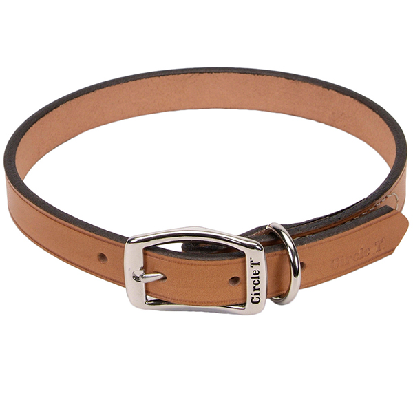 Coastal Circle-T Leather Town КОСТАЛ СЕРКЛ-Т шкіряний нашийник для собак
