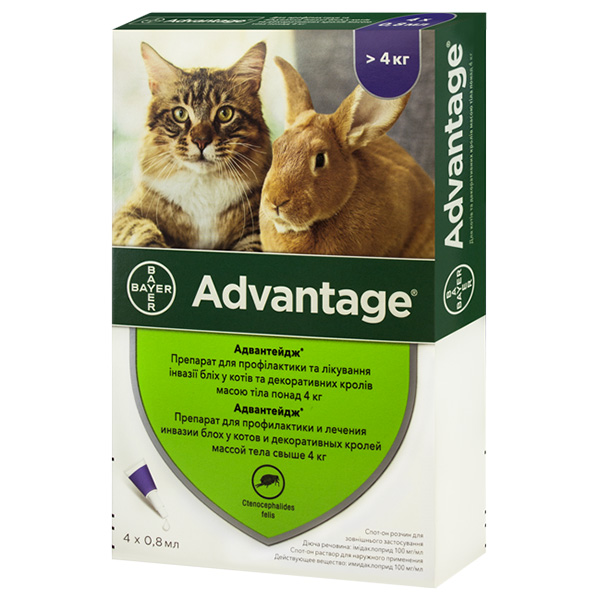 Bayer Advantage 80 БАЙЄР АДВАНТЕЙДЖ 80 краплі від бліх для котів та декоративних кроликів, 1 піпетка
