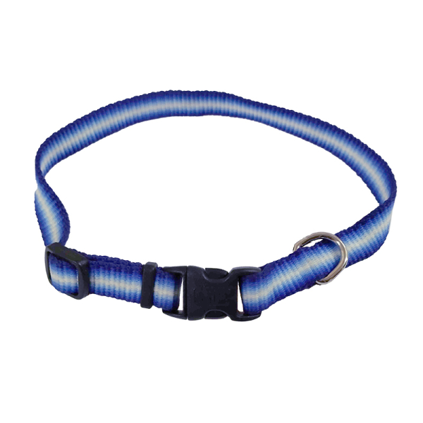 Coastal Trendz Graduated КОСТАЛ ГРАДІЄНТ нашийник для собак, 1х30см