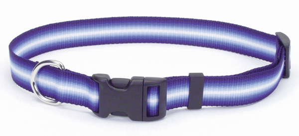 Coastal Trendz Graduated КОСТАЛ ГРАДІЄНТ нашийник для собак, 1х30см