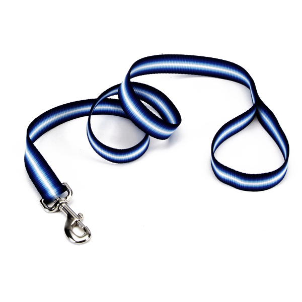 Coastal Trendz Graduated КОСТАЛ ГРАДІЄНТ повідець для собак, 1смХ1.8м