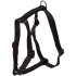 Coastal Standard Adjustable     