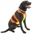Coastal for Hunting Dogs      