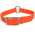Coastal for Hunting Dogs Warterproof Collar КОЛАР КІЛЬЦЕ біотановий нашийник для собак