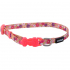 Coastal Li`l Pals КОСТАЛ ЛІТТЛ ПЕЛС нашийник для собак, 0.9х20-30см