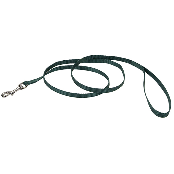 Coastal Nylon Leash КОСТАЛ НАЙЛОН повідець для собак, 1смХ1.2м