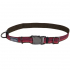 Coastal K9 Explorer Collar КОСТАЛ К9 ЕКСПЛОРЕР світловідбивний нашийник для собак, 2.5х46-66см