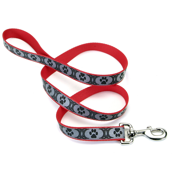 Coastal Lazer Brite Reflective Leash КОСТАЛ ЛАЗЕР БРАЙТ світловідбивний повідець для собак, 1.6смХ1.2м