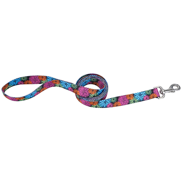 Coastal Pet Attire Styles КОСТАЛ СТАЙЛС повідець для собак, 2смХ1.2м