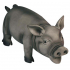 Flamingo Black Pig ̲       