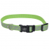 Coastal Lazer Brite Reflective Collar КОСТАЛ ЛАЗЕР БРАЙТ світловідбивний нашийник для собак, 1.6х30-46см