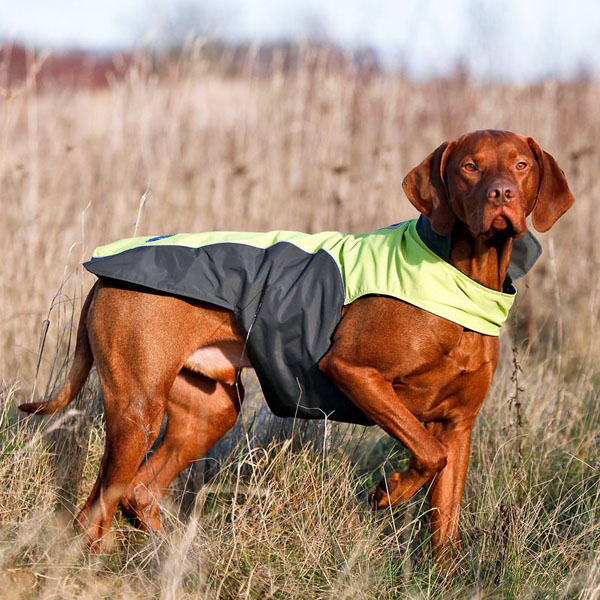 Flamingo Touchdog Coat ФЛАМІНГО ПЛАЩ попона одяг для собак