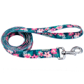 Coastal Pet Attire Styles     , 11.2