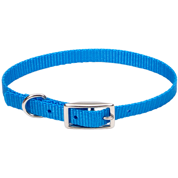 Coastal Nylon Web КОСТАЛ НАЙЛОН ВЕБ нашийник для собак, 1х25см