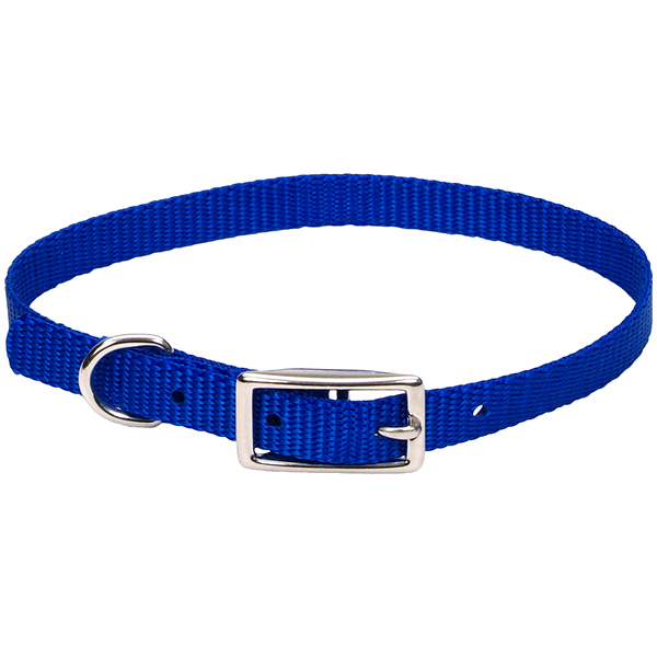 Coastal Nylon Web КОСТАЛ НАЙЛОН ВЕБ нашийник для собак, 1х25см
