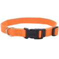 Coastal New Earth Soy Dog Collar  Ϊ   