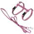 Flamingo Cat Harness and Leash Ziggi ̲ ǲò     