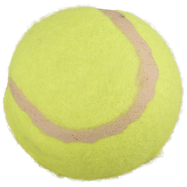 Flamingo Smash Tennis Ball ФЛАМІНГО СМЕШ тенісний м’яч, іграшка для собак